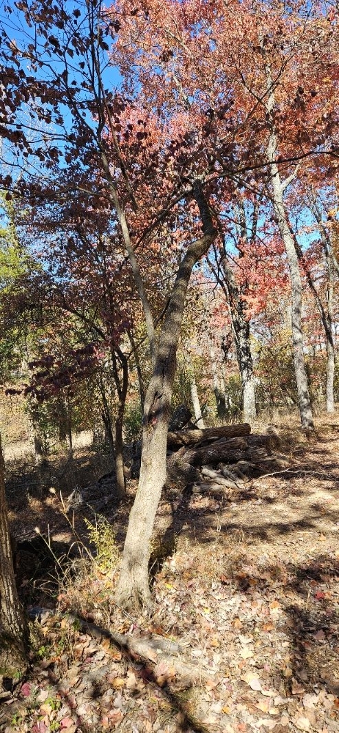 20241020_120803.jpg