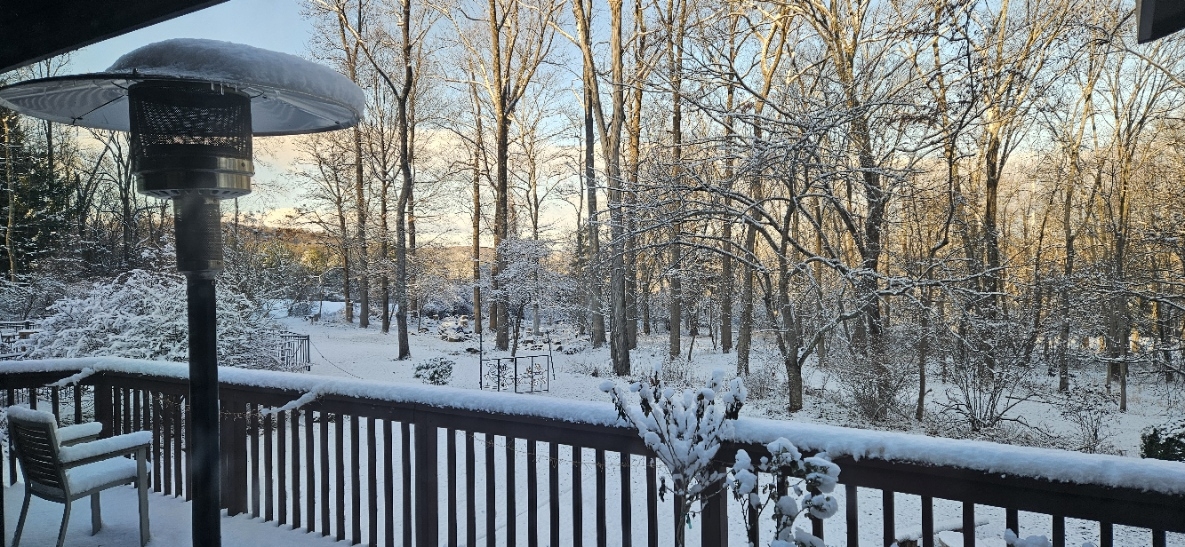 20241221_084444.jpg