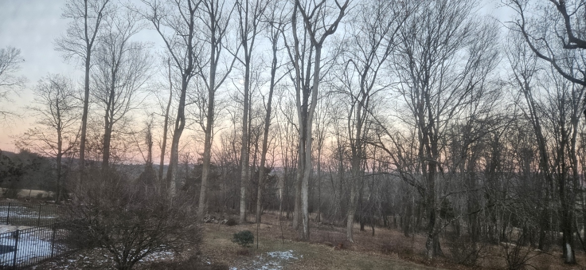 20250115_072549.jpg