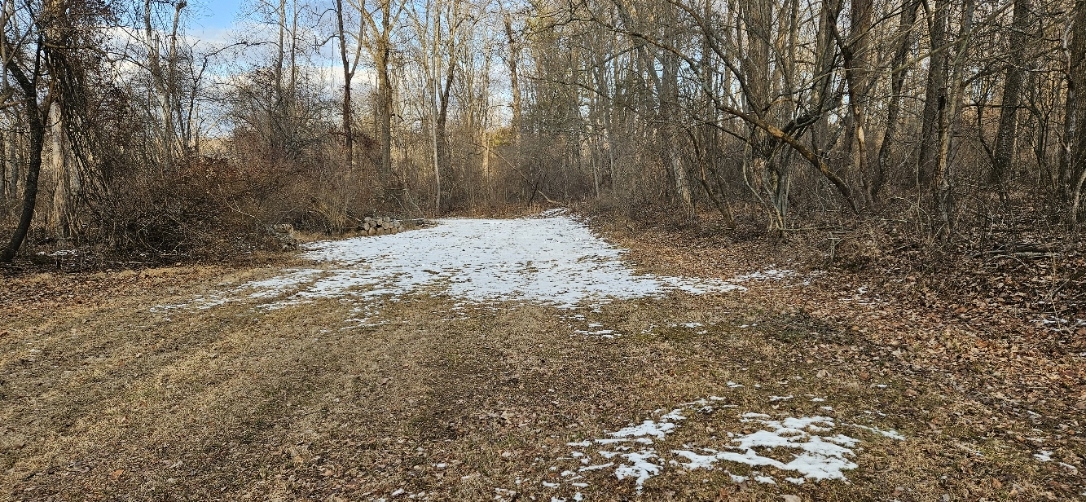 20250117_154825.jpg