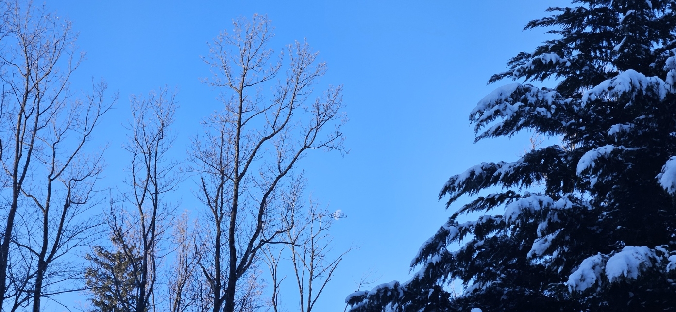 20250120_081916.jpg