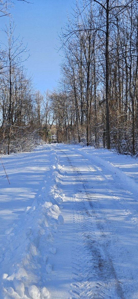 20250120_093914.jpg