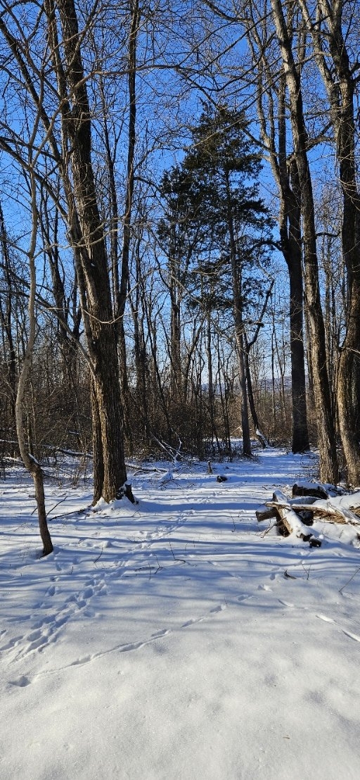 20250122_142506.jpg