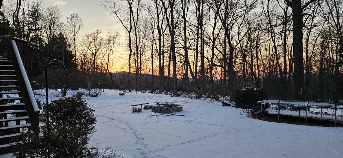 20250123_170413.jpg