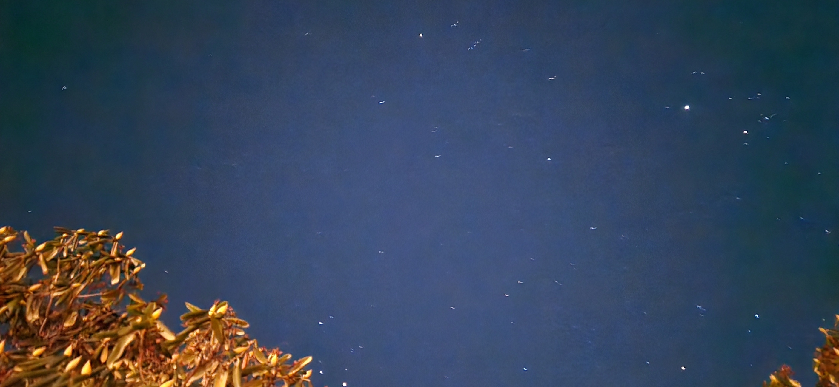 20250124_211314.jpg