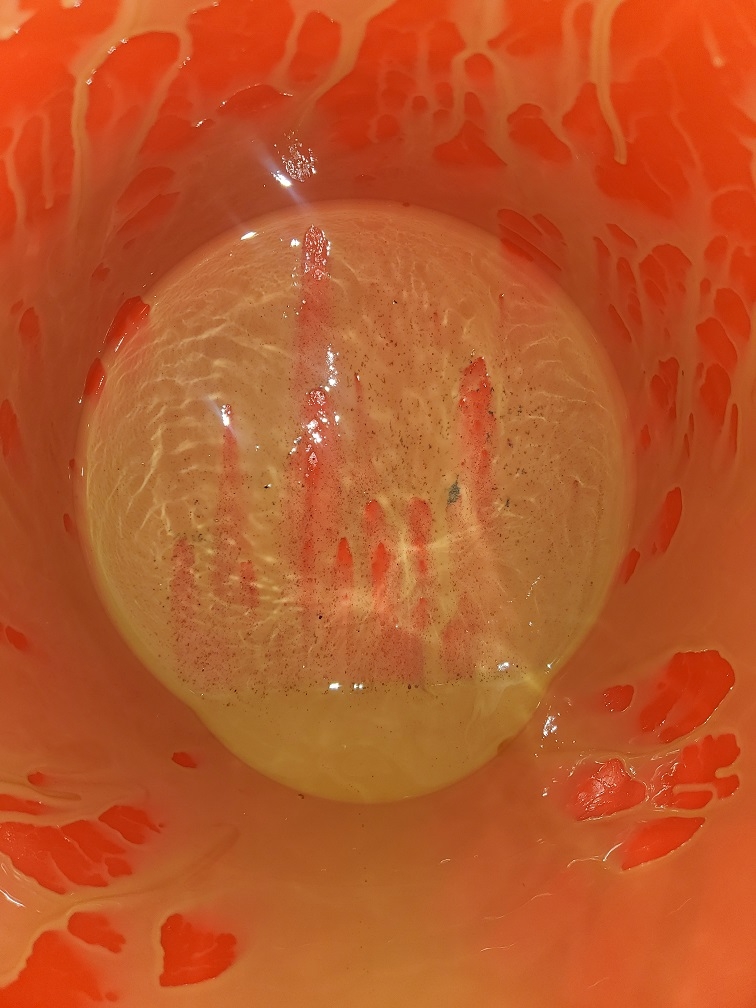 20250203_182351.jpg