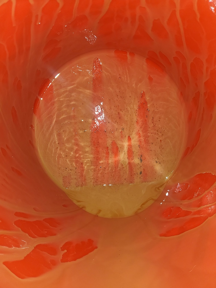 20250203_183215.jpg