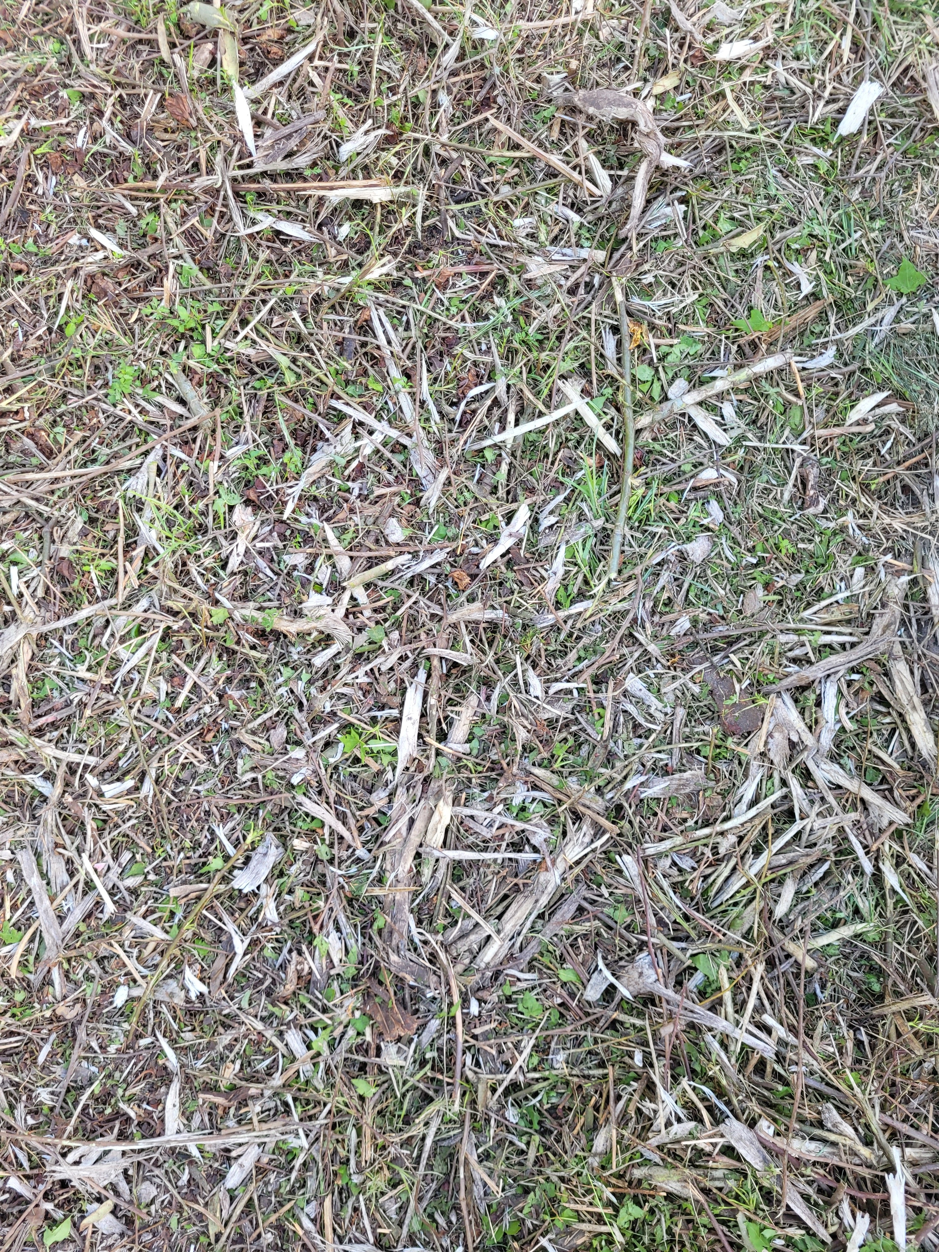 20250322_180113.jpg