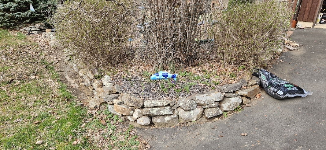 20250330_152610.jpg