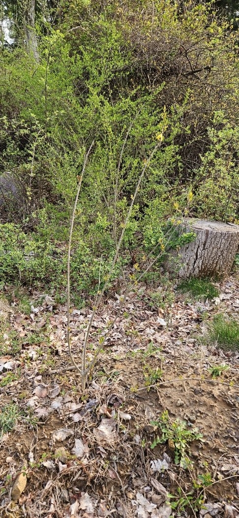 20250414_175750.jpg