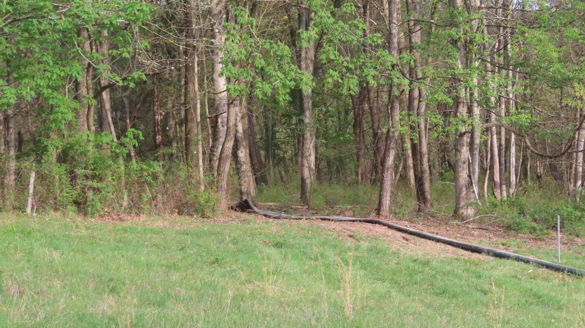 20250424_OH_farm_PipeGPwaterline35_.jpg