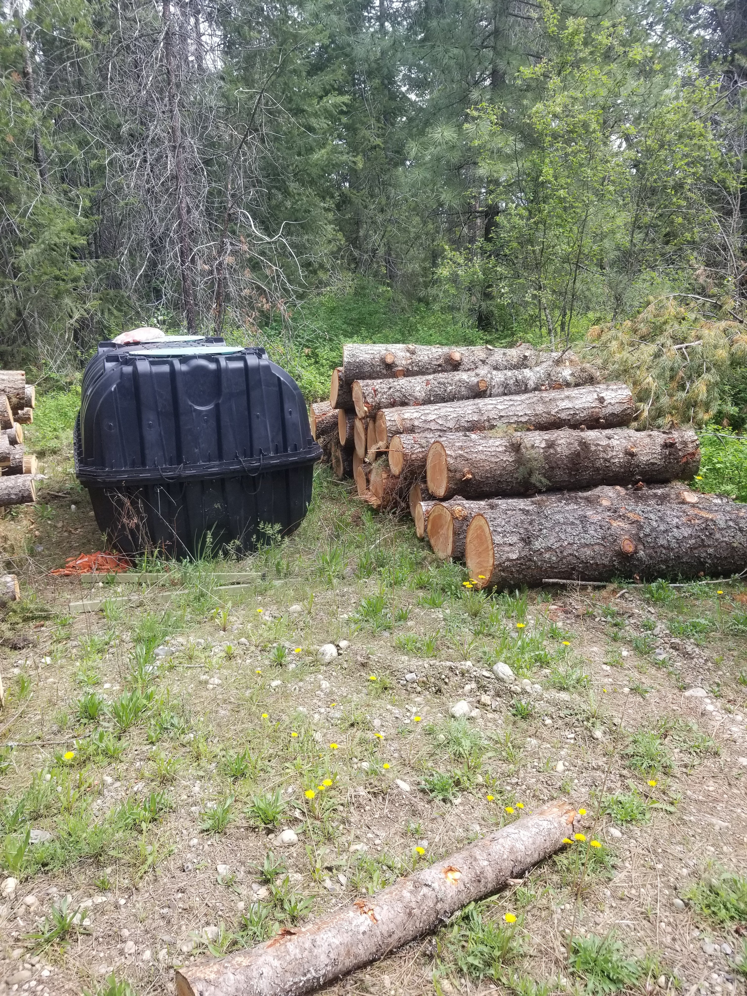 20250511_124331.jpeg