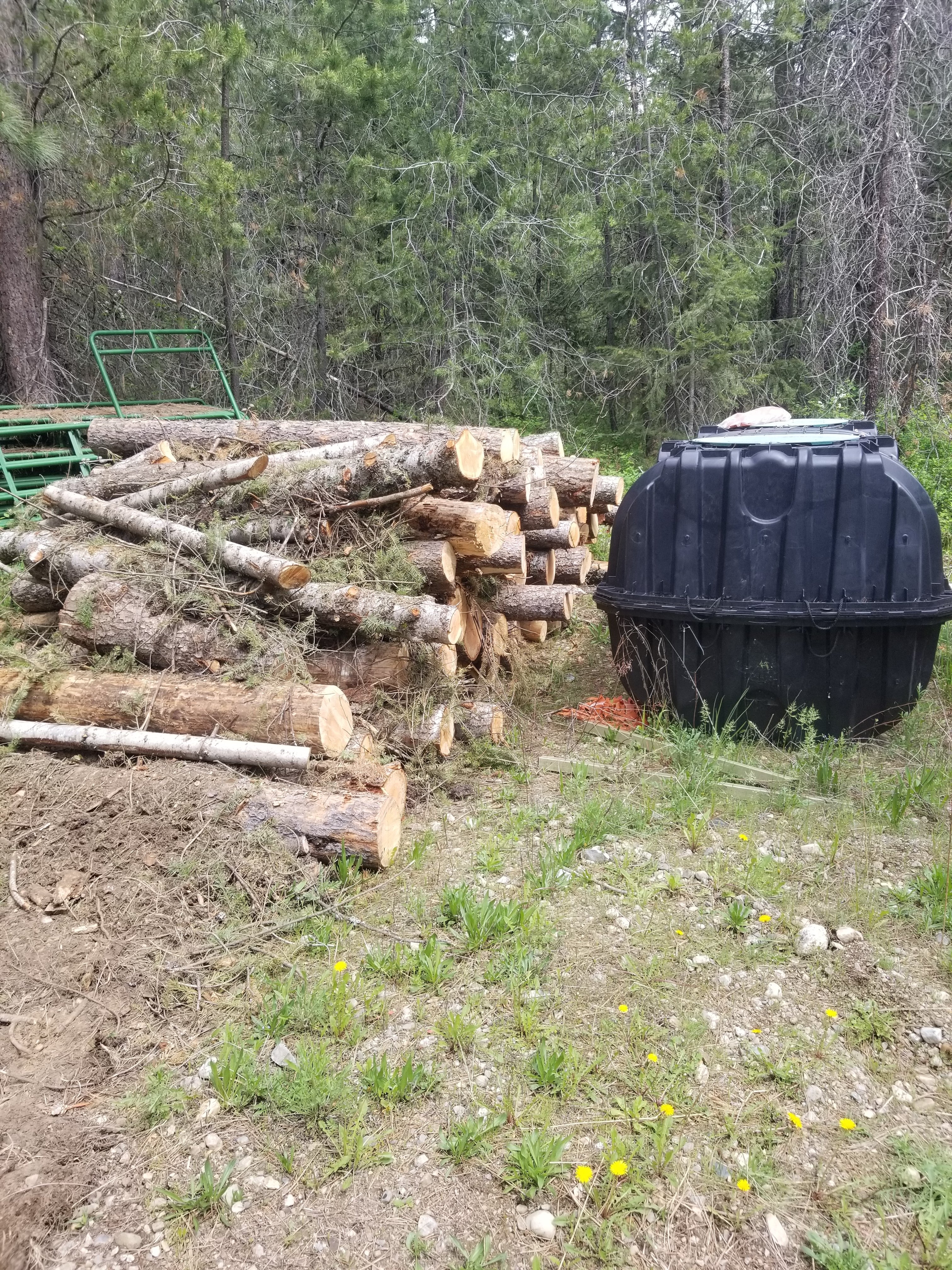 20250511_124335.jpeg