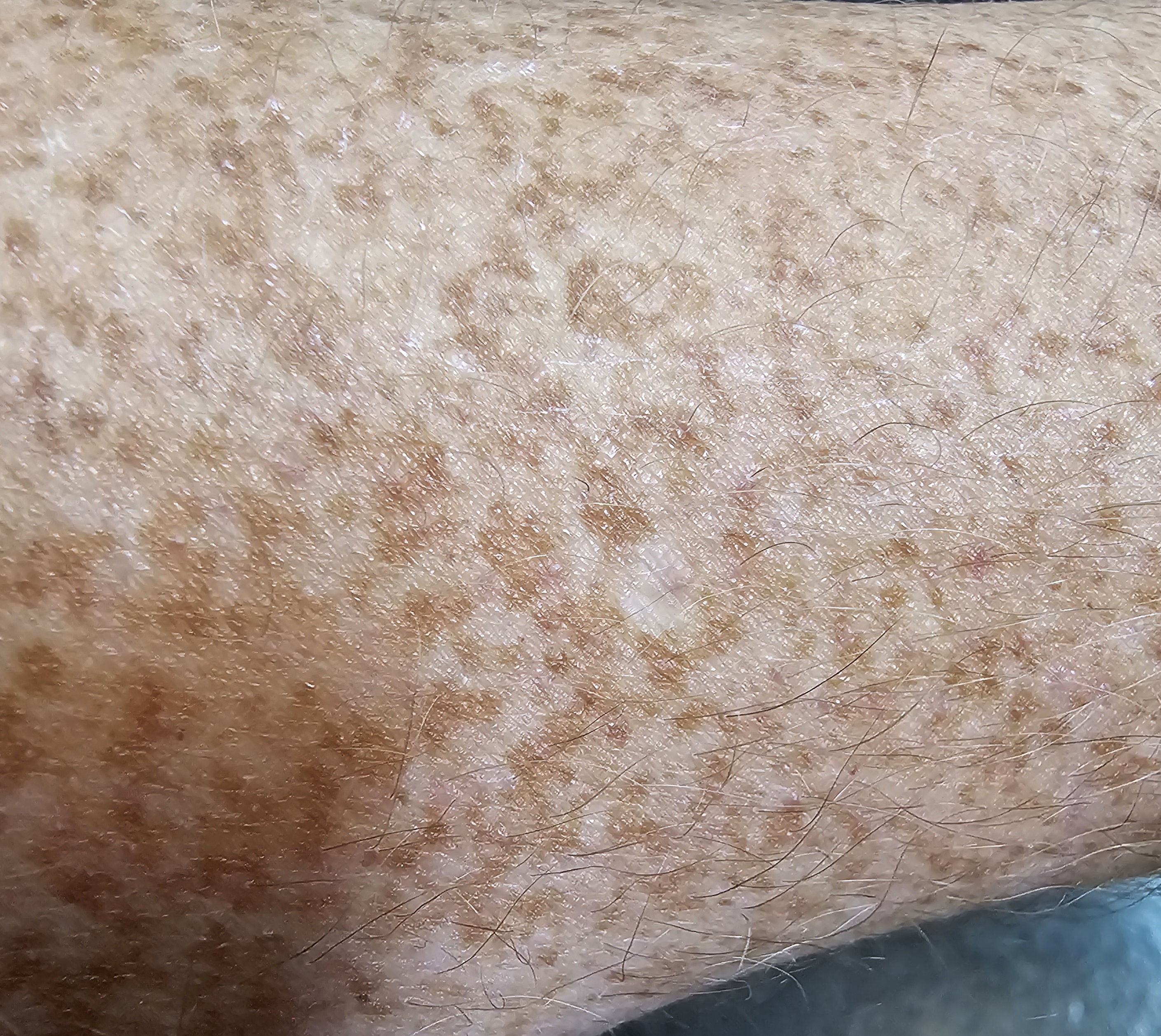20250531_134942.jpg