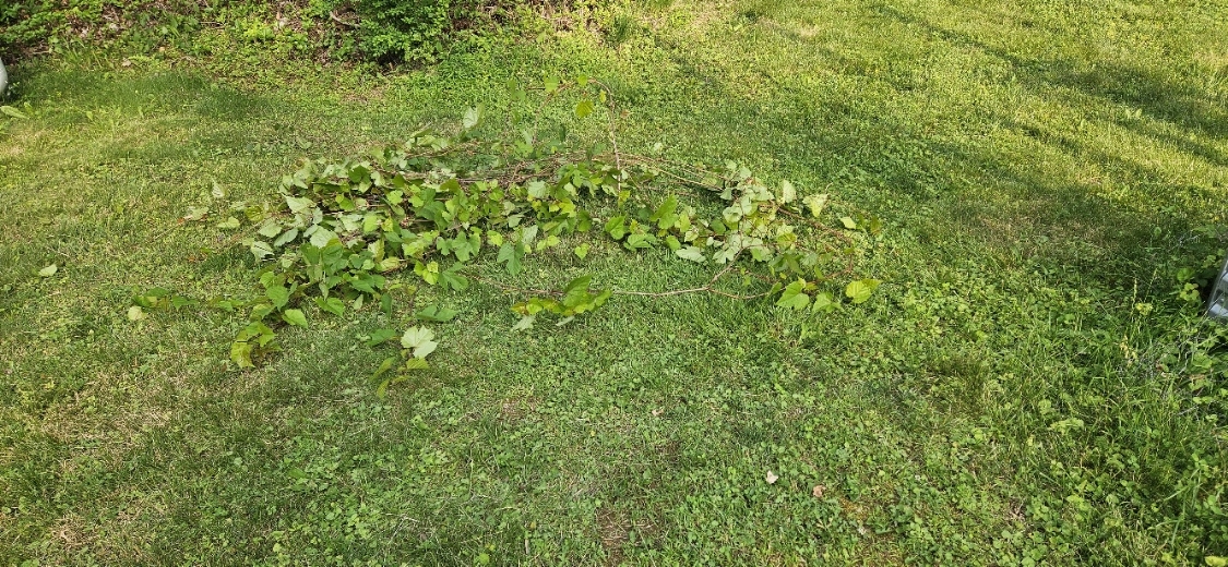 20250610_181828.jpg