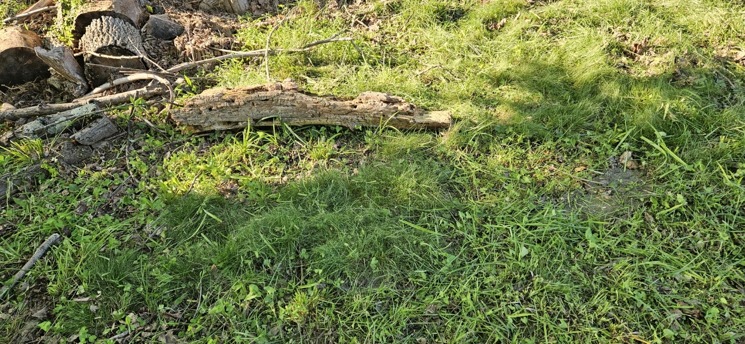 20250611_183442.jpg