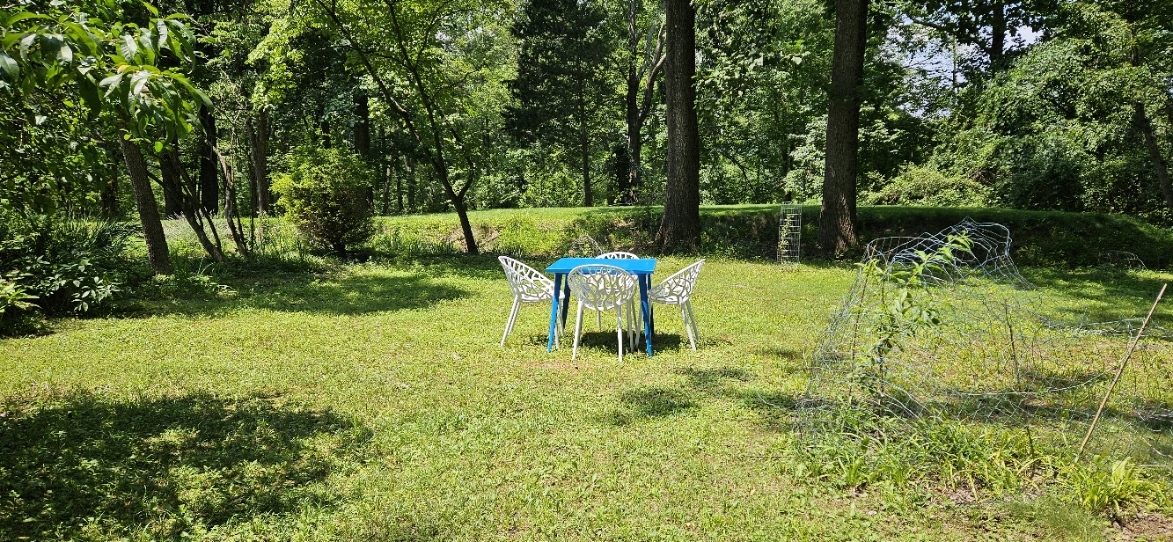 20250703_132646.jpg