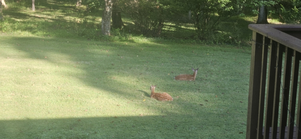 20250824_083222.jpg