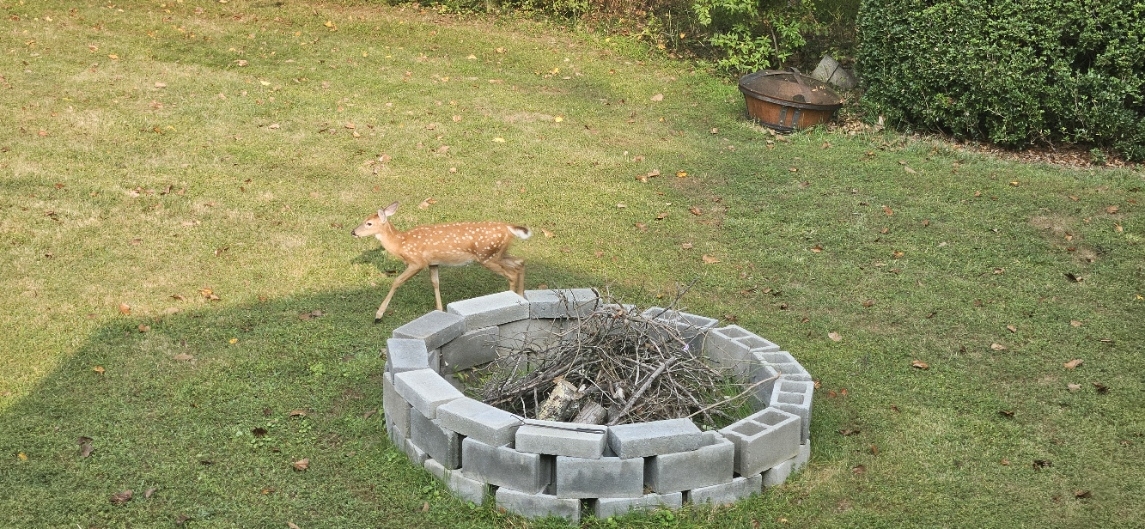 20250906_090037.jpg