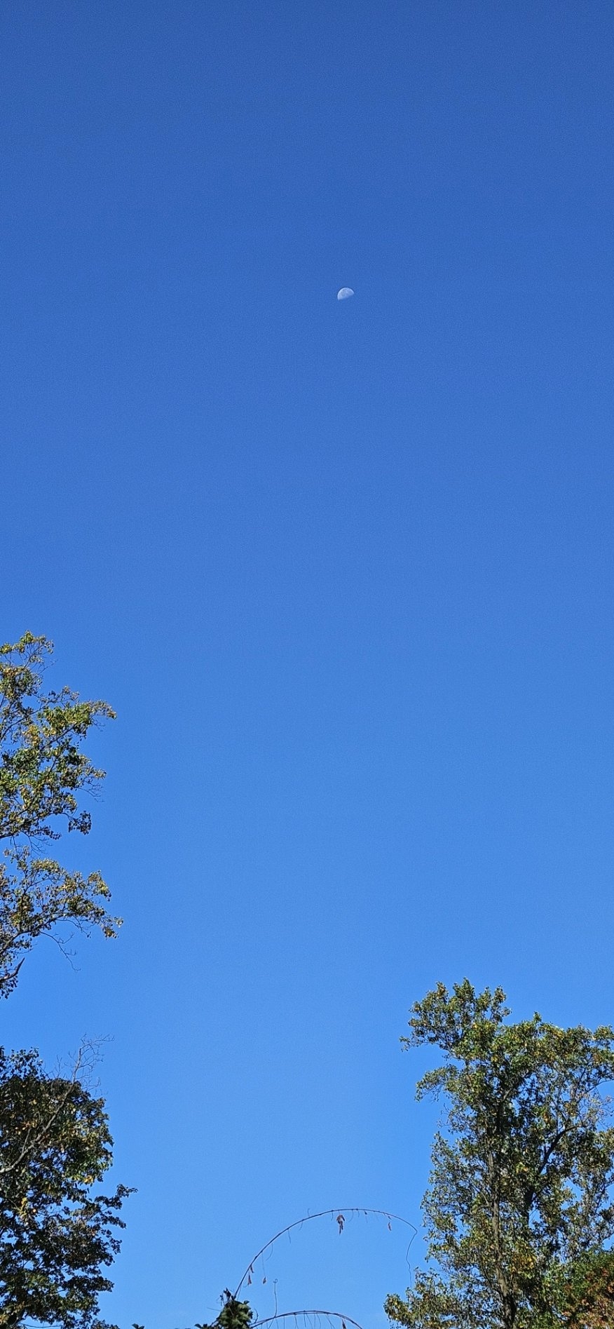 20250913_092218.jpg