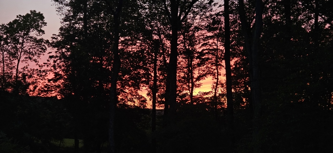 20250930_185754.jpg