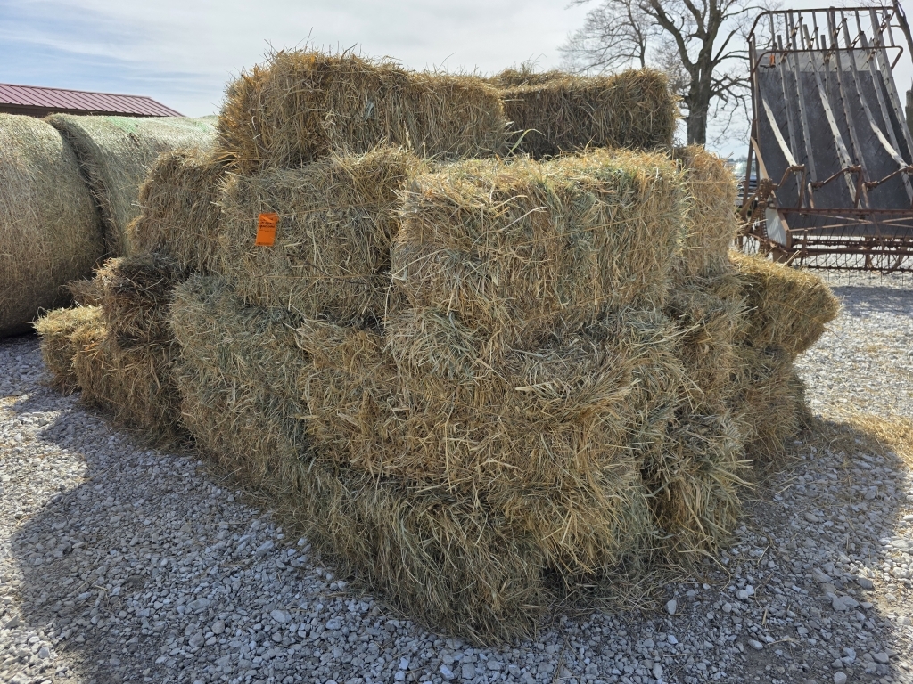 (75) Grass Square Hay Bales (A66408)