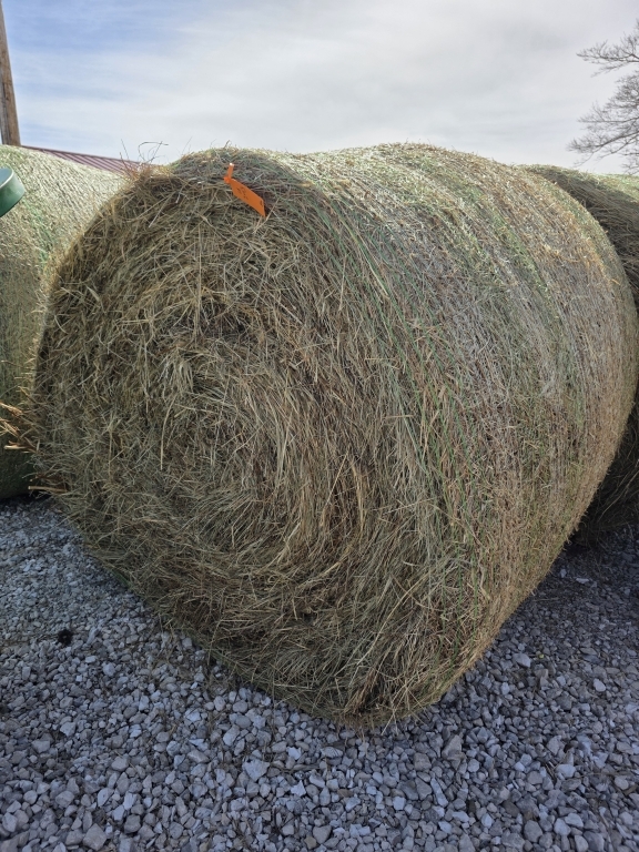 (5) Round Grass Hay Bales (A66408)