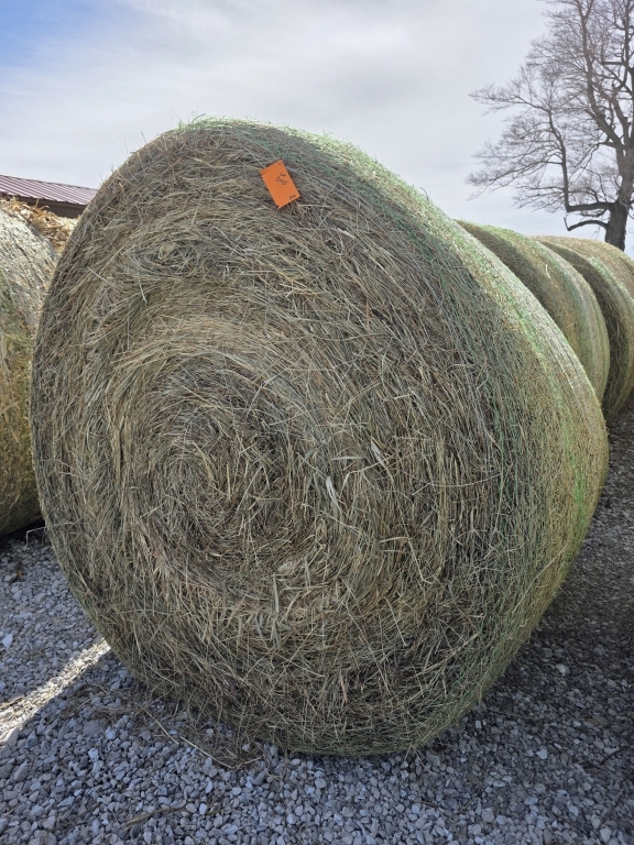 (5) Round Grass Hay Bales (A66408)