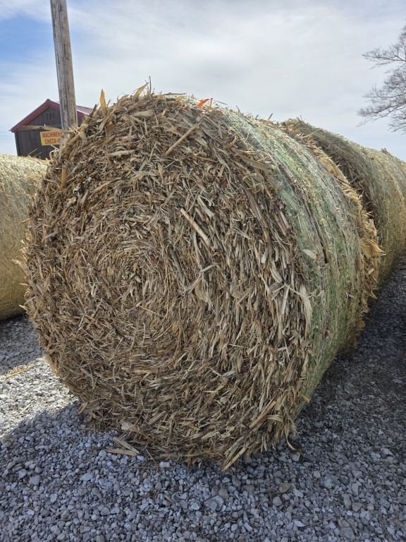 (5) Round Cornstalk Bales (A66408)