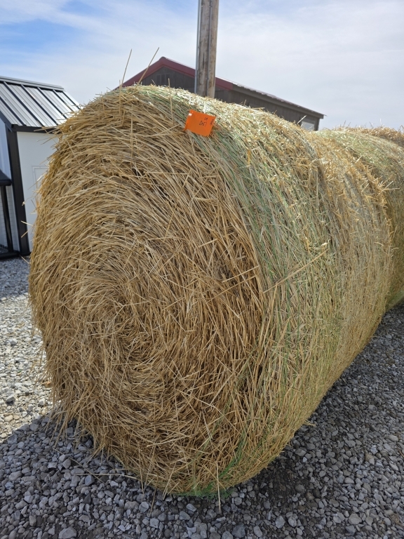 (5) Round Straw Bales (A66408)