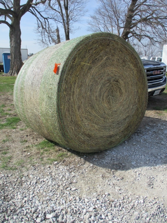 (12) Round Grass Hay Bales (A66408)