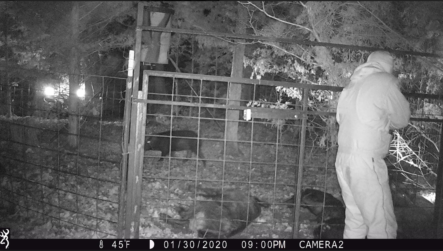 282015CD-D42D-4AC5-BD70-CAFCC723EE3C.jpeg 282015CD-D42D-4AC5-BD70-CAFCC723EE3C.jpeg