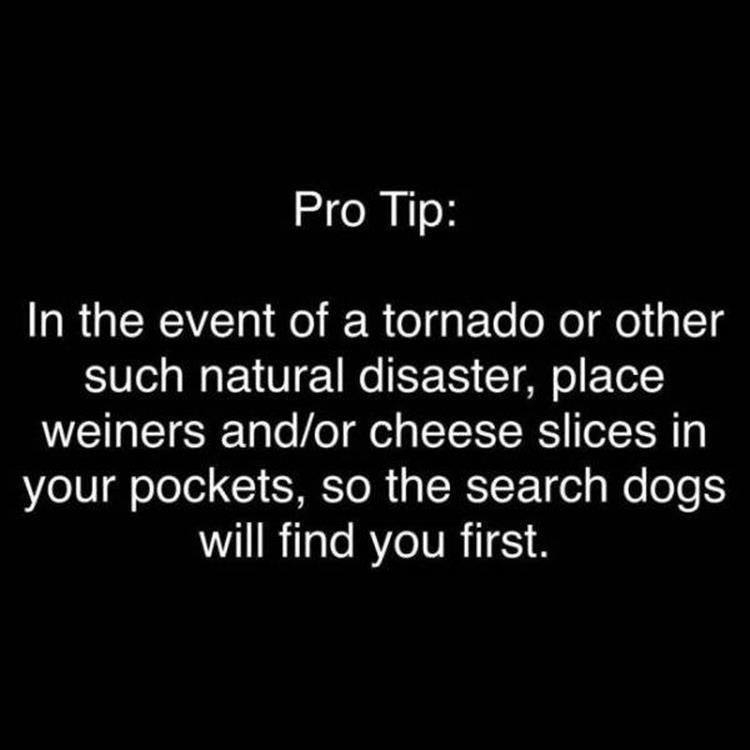 28663A37-02CA-404C-A07E-D810B35C4AAF.jpeg