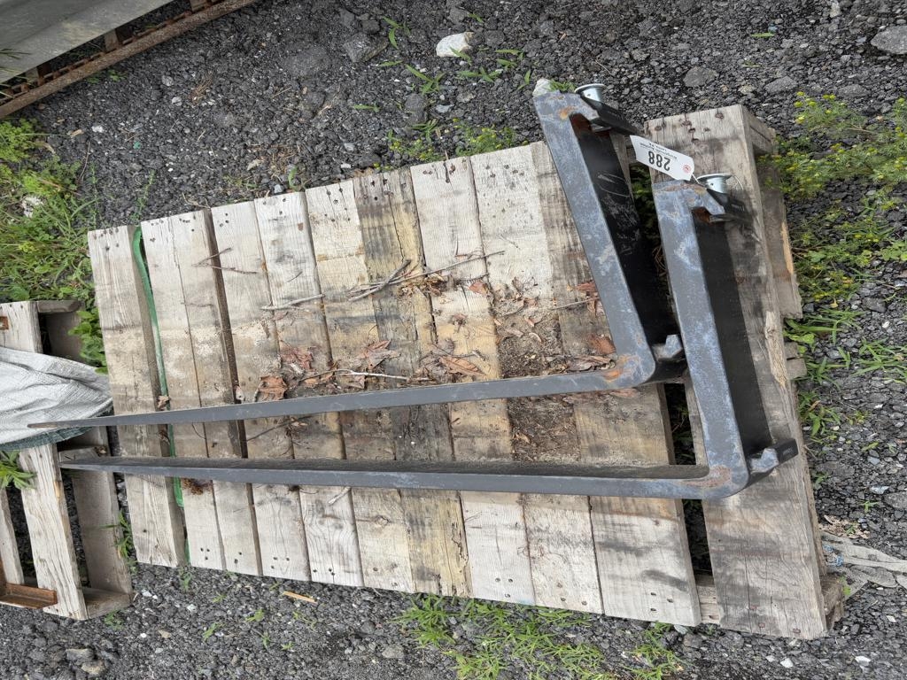 Forks (A49251)