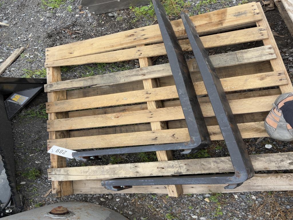 Forks (A49251)