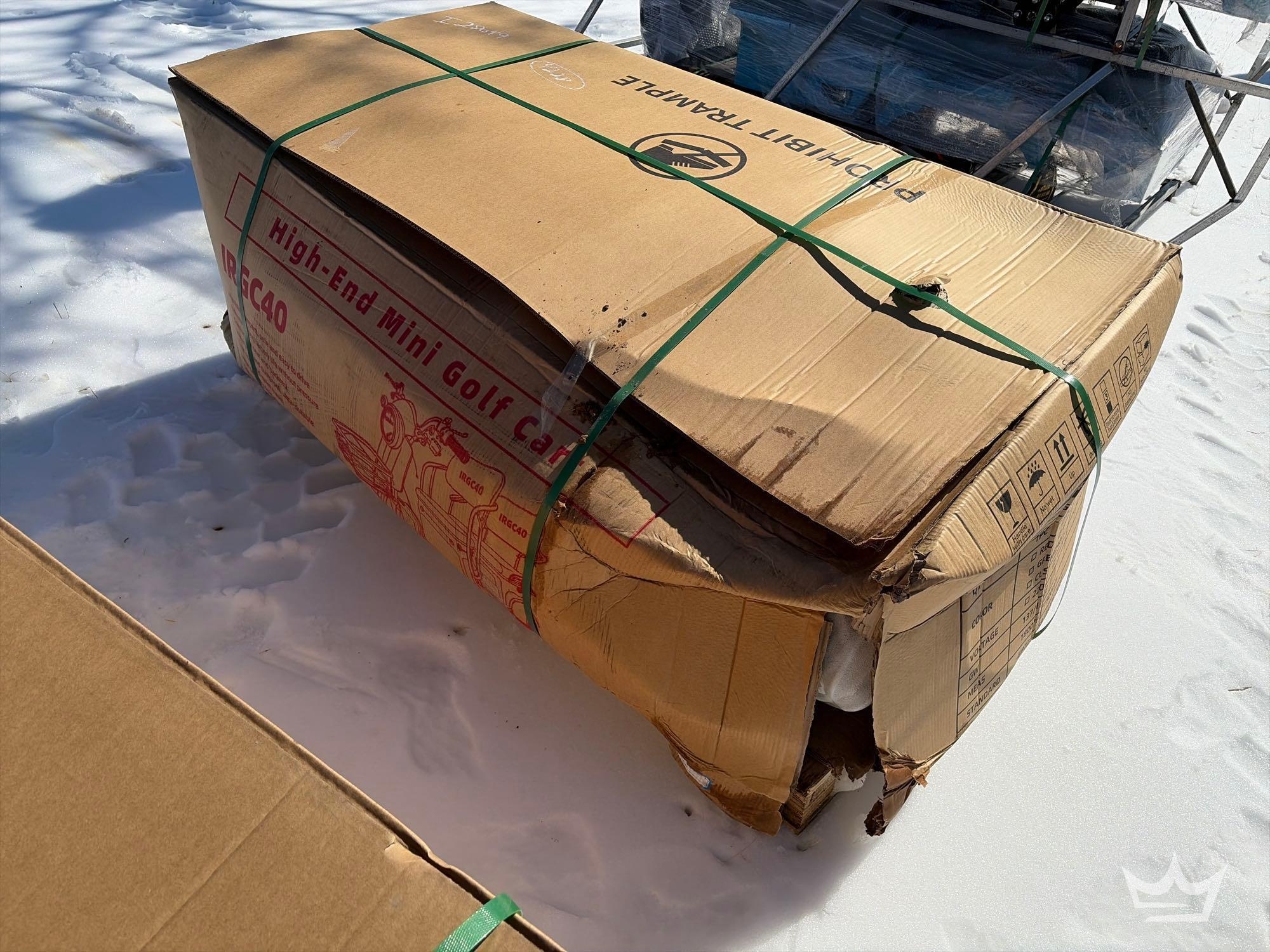 2025 SDLANCH IRGC40 Two-Seat Electric Tricycle (A60352)