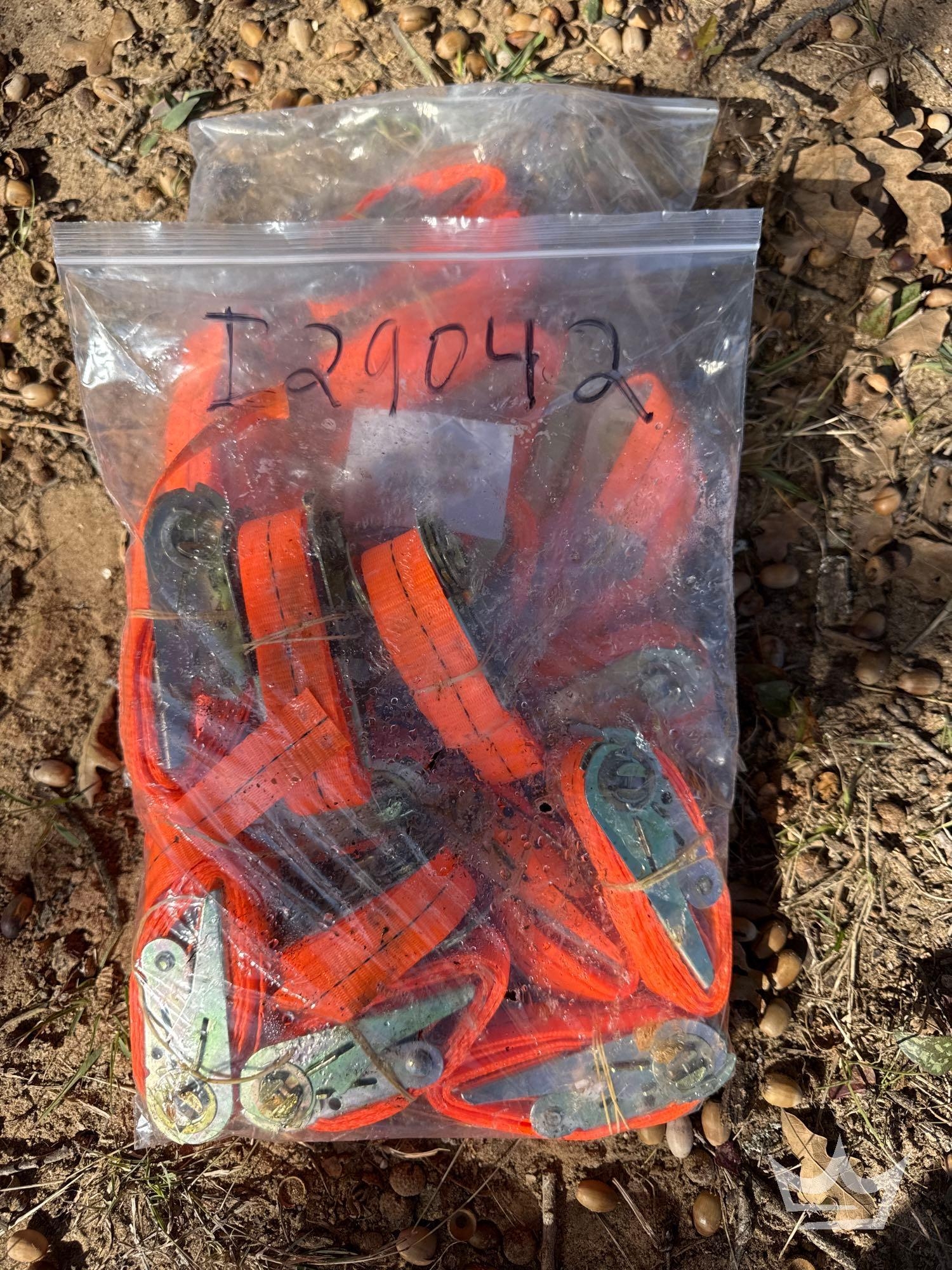 2025 IRANCH IRTS2 Tie-Down Ratchet Straps (A55974)