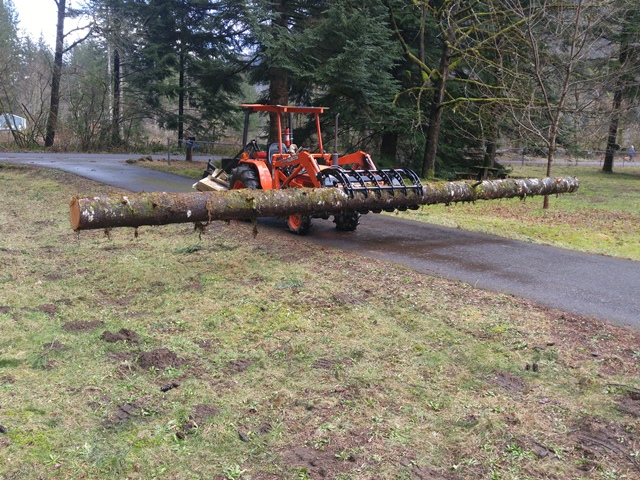 31foot log01a.jpg