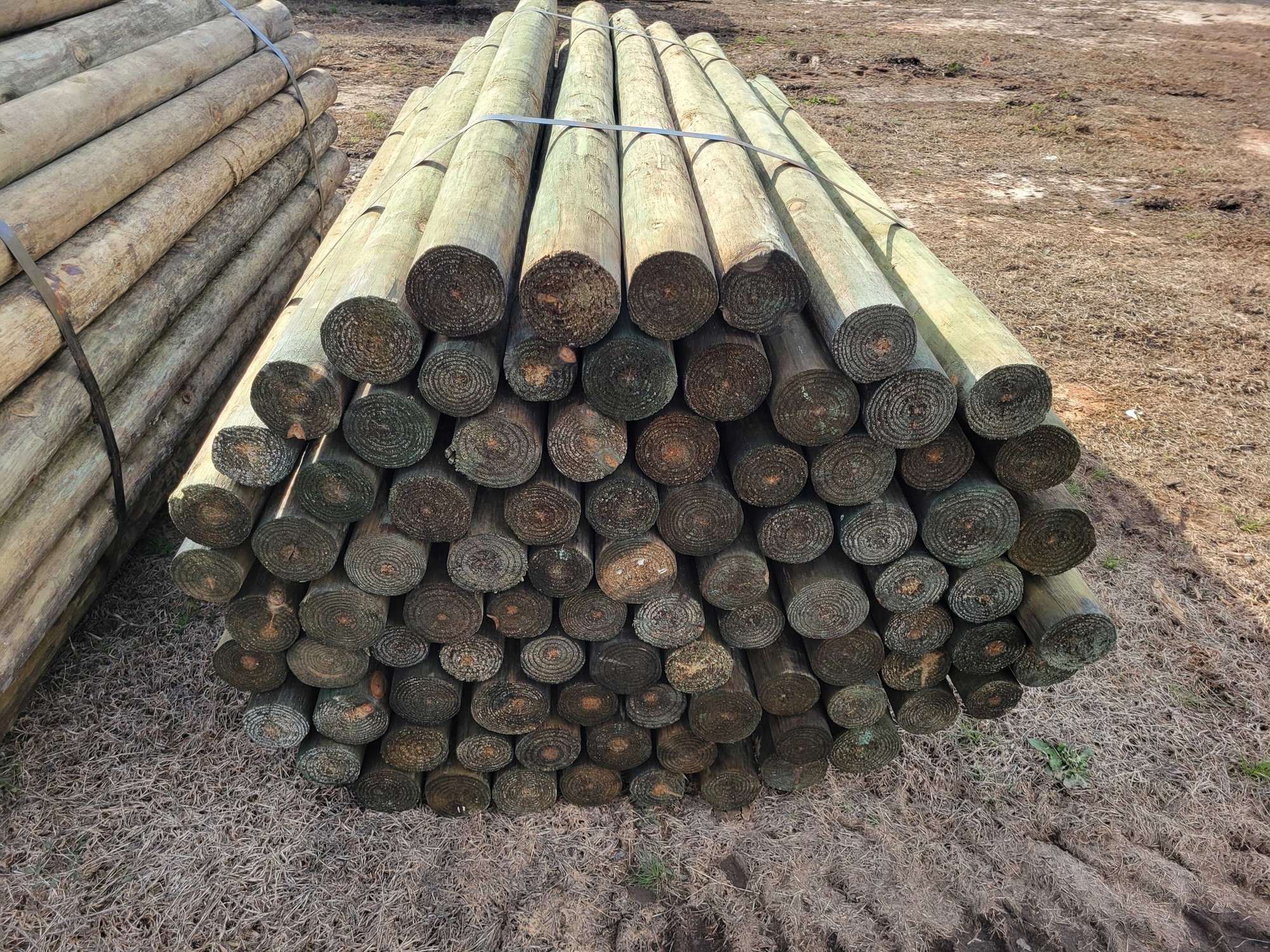 Wood Fence Post (A62613)