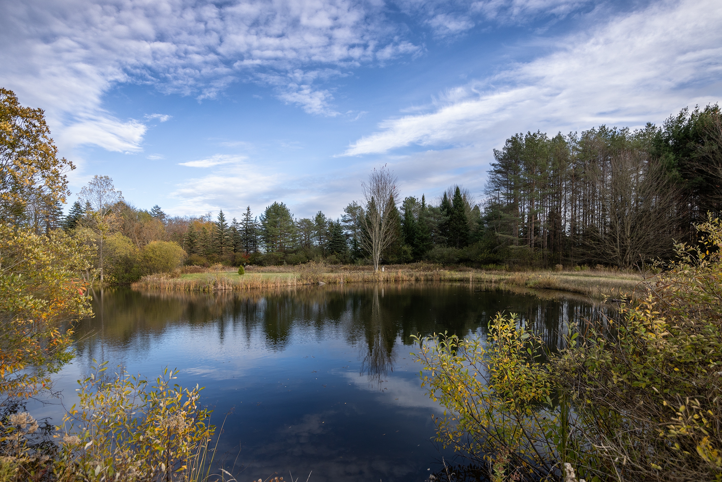 496A7842 fall small.jpg