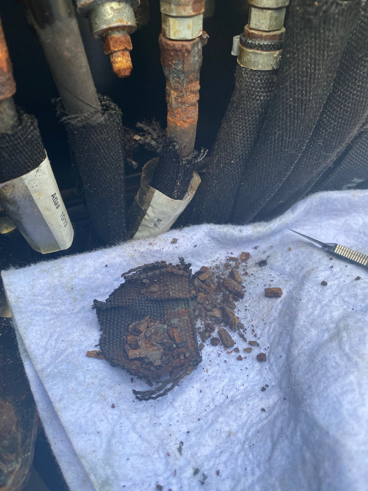 4E8038DE-DAFE-4690-877D-E1567ED2A156.jpeg 4E8038DE-DAFE-4690-877D-E1567ED2A156.jpeg