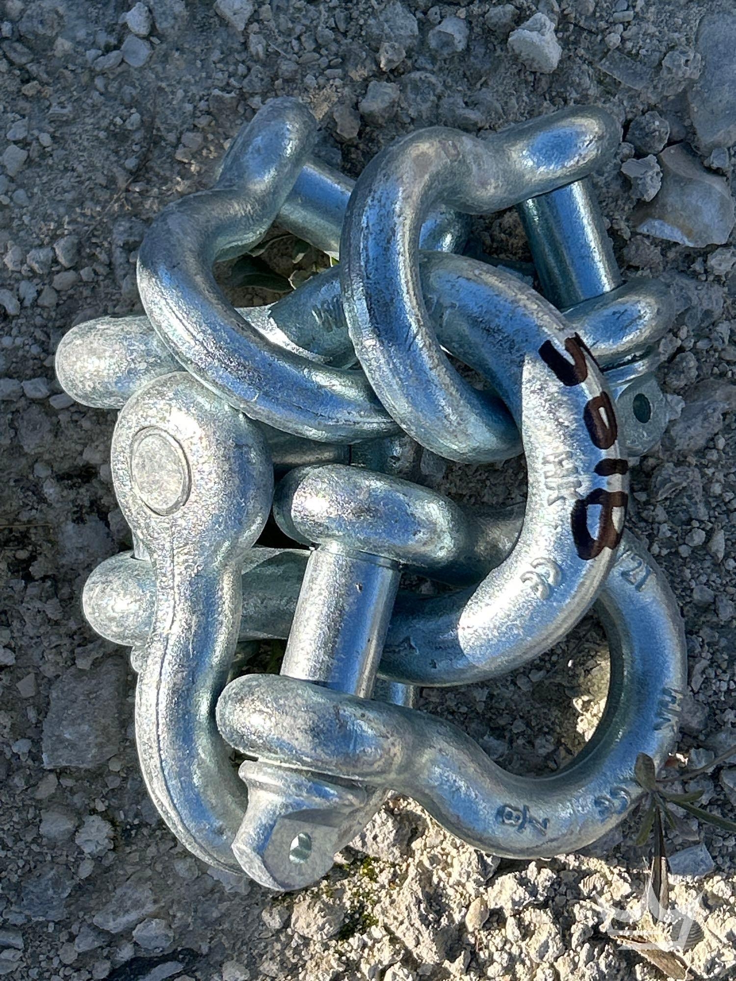 Heavy Duty D Ring Shackles (A61568)