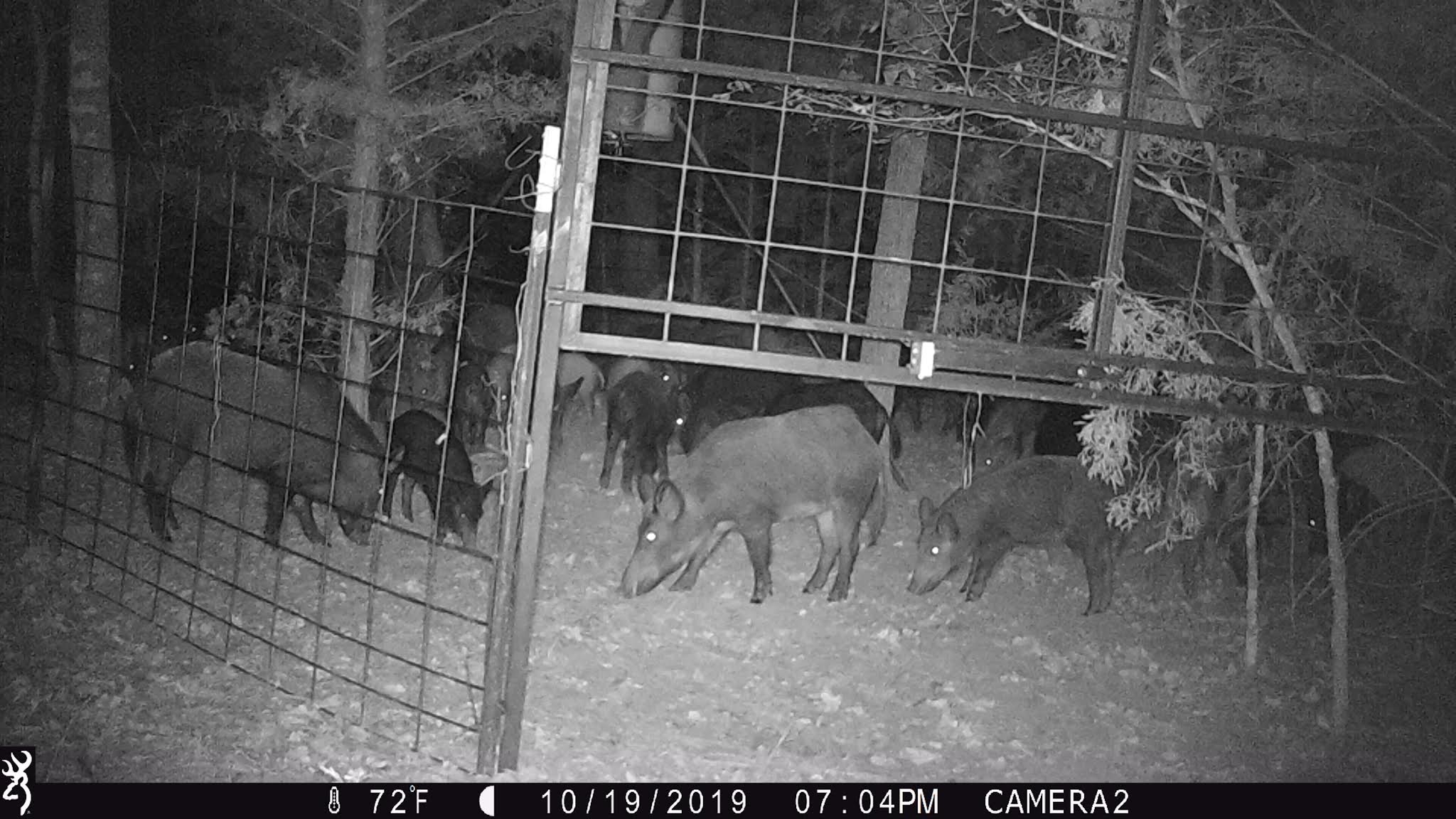 51116AC1-4640-4B39-8A4F-88EA565D90C7.jpeg 51116AC1-4640-4B39-8A4F-88EA565D90C7.jpeg