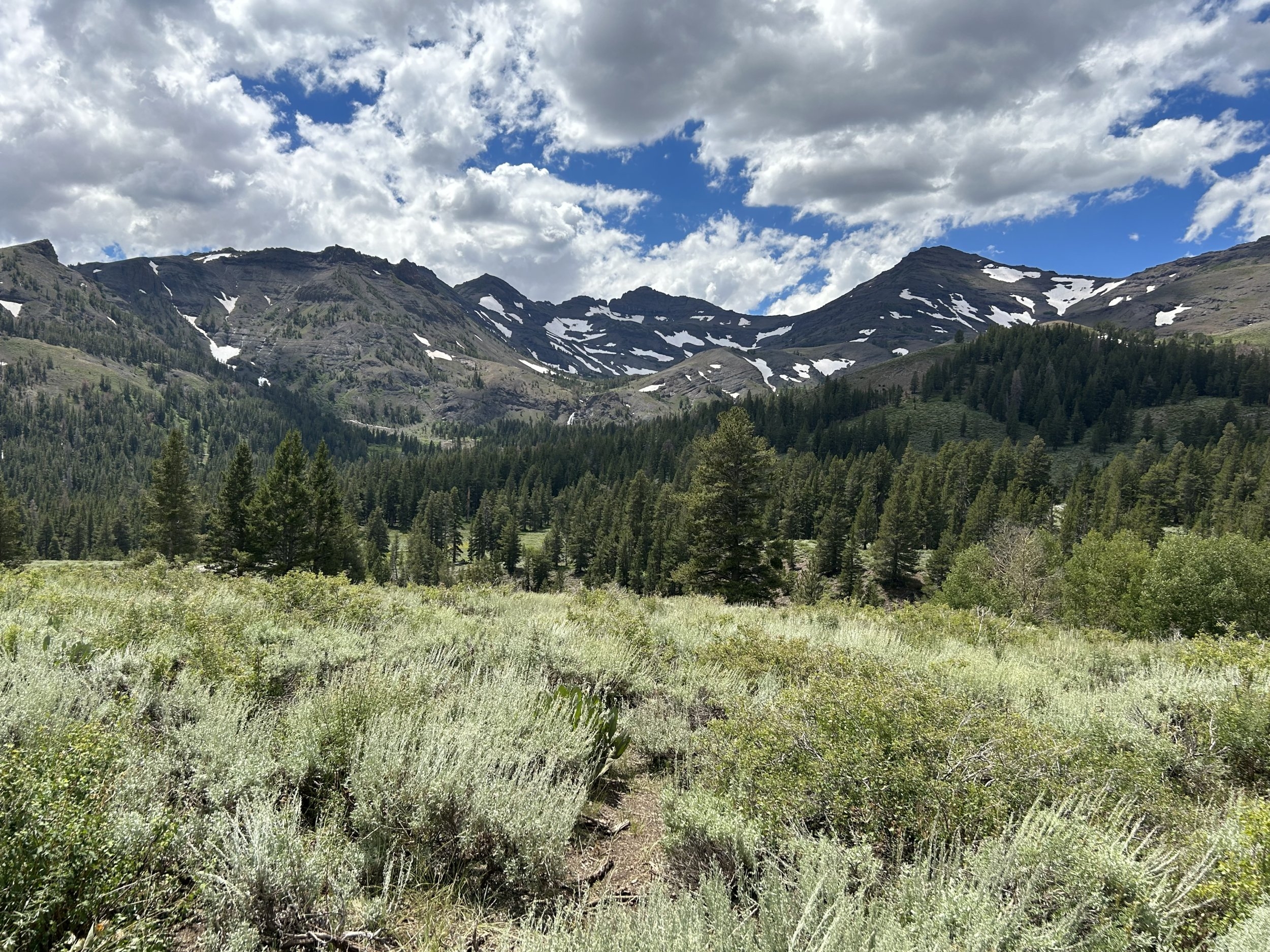 57001294-DF7C-42E6-8AA8-8F7529F6E8B7.jpeg