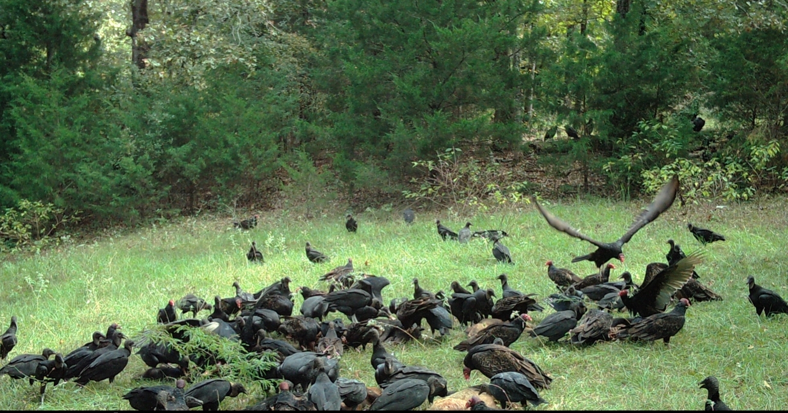 5AA660C1-CA50-4B0D-A7AD-D35E215BB080.jpeg 5AA660C1-CA50-4B0D-A7AD-D35E215BB080.jpeg