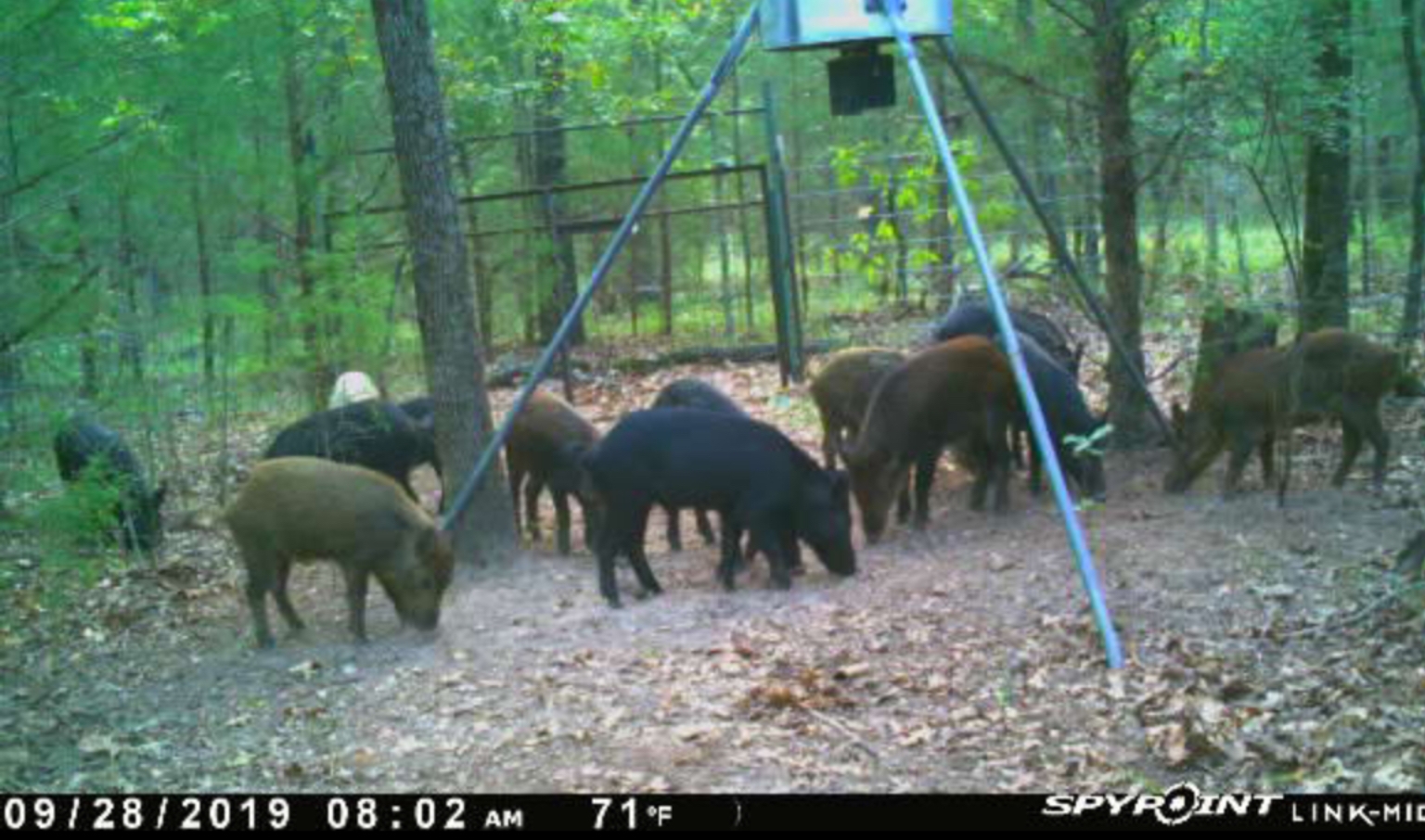 5EB4D59F-6936-42B0-BDD9-ECAA8918C8B7.jpeg 5EB4D59F-6936-42B0-BDD9-ECAA8918C8B7.jpeg