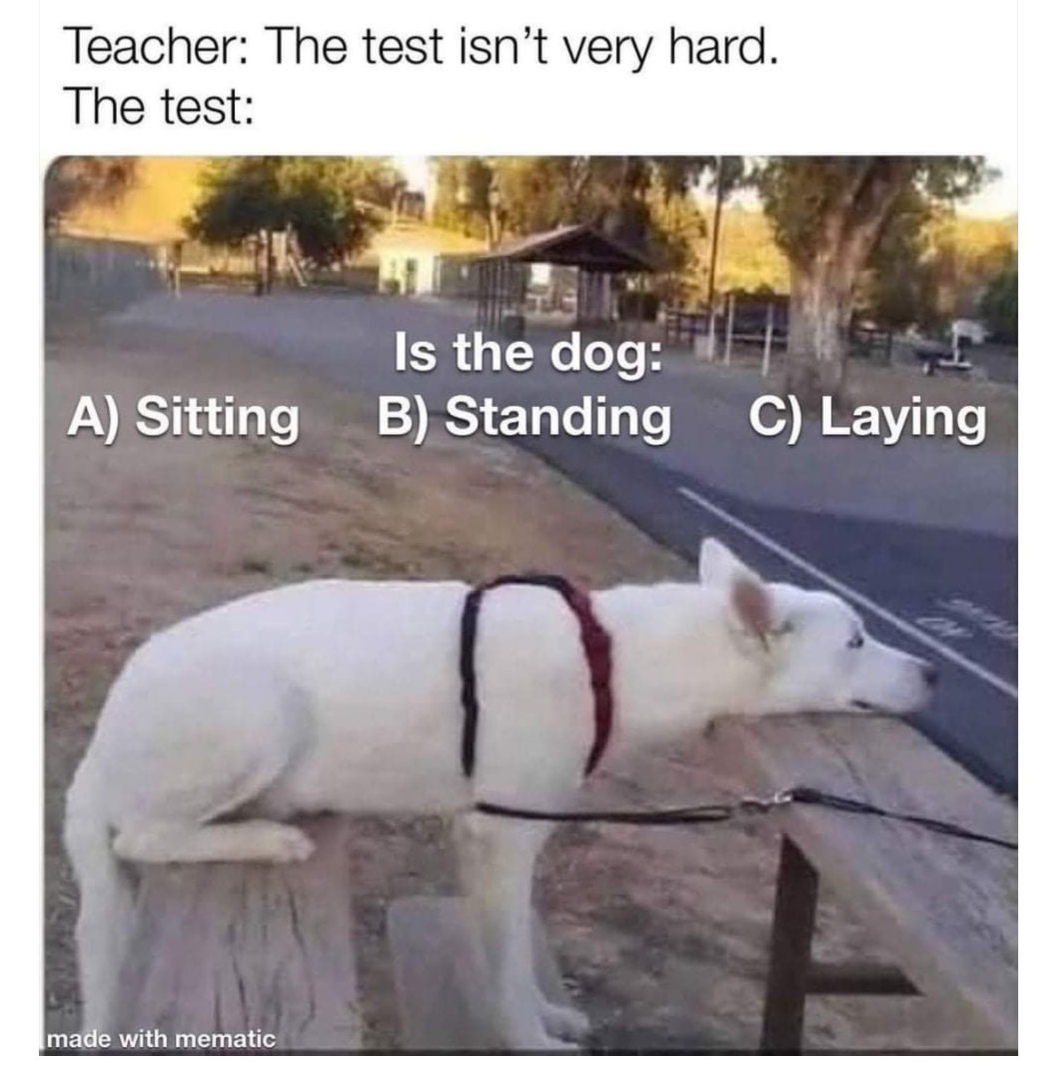 5F86D6EF-1C54-4D9F-9844-07747756F3D9.jpeg