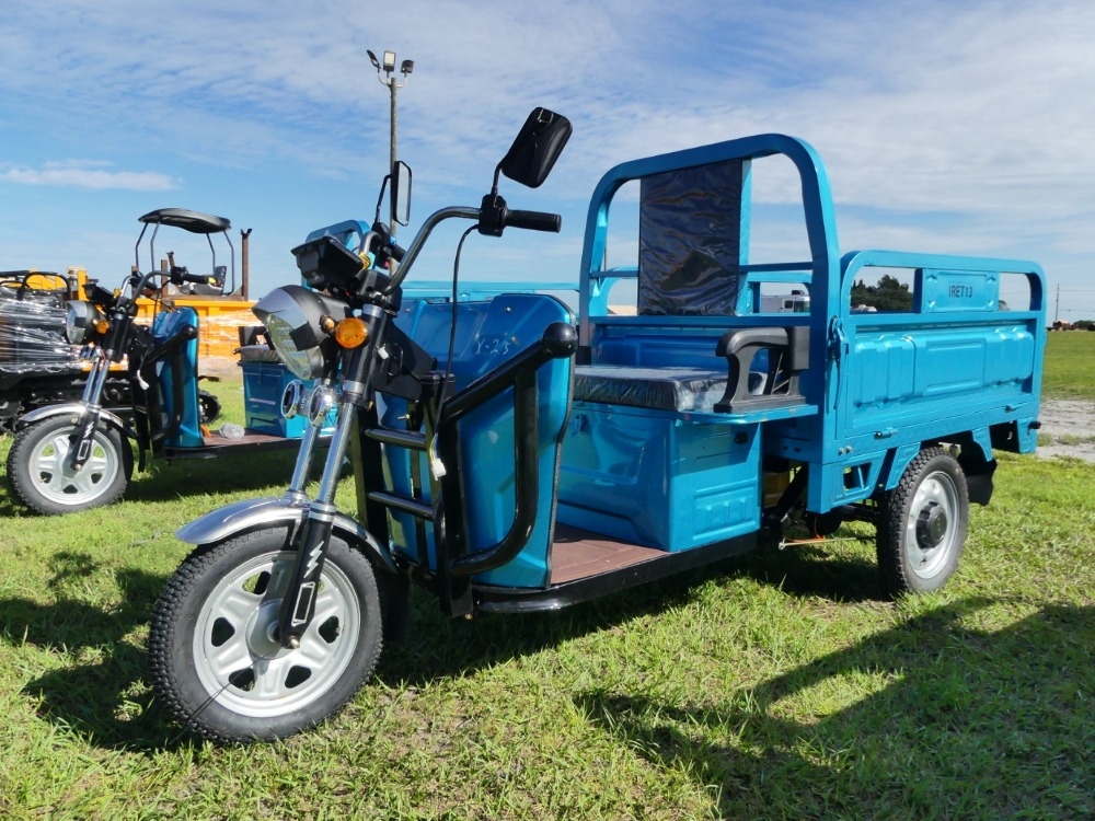 IRanch High-End Electric Tricycle (A57149)