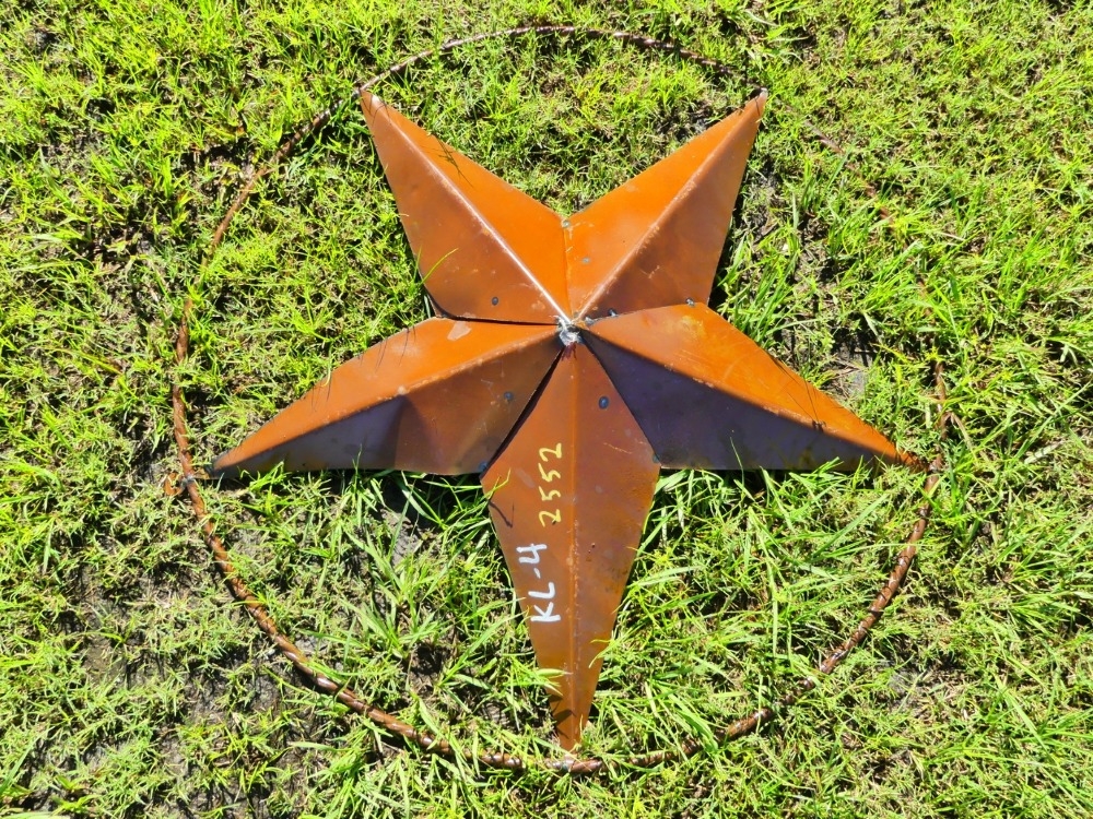 Star Sign (A53316)