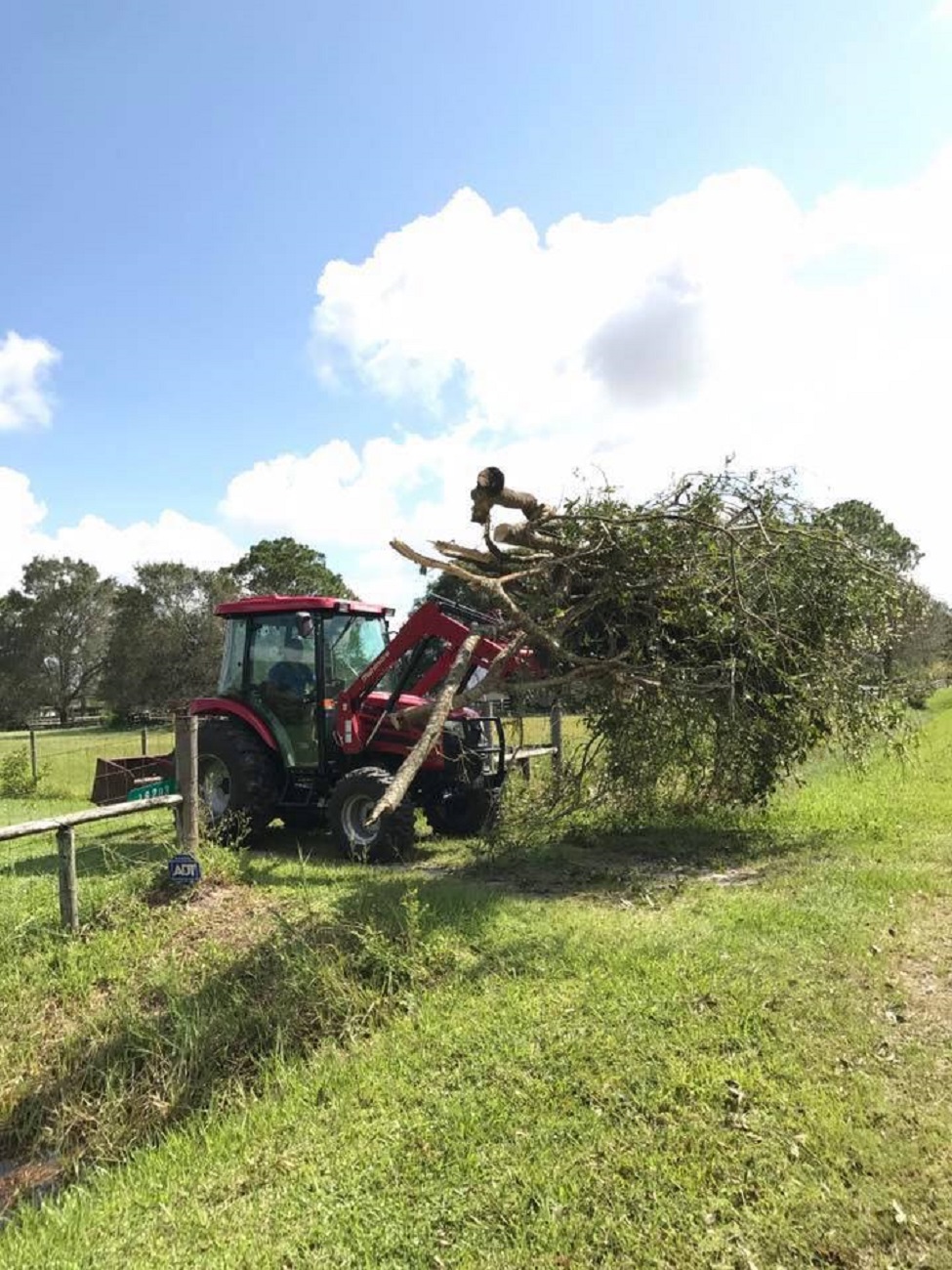 66singleMahindra255515.jpg